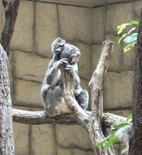 Photo_2