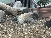 Photo_3