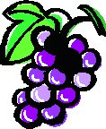 Grape